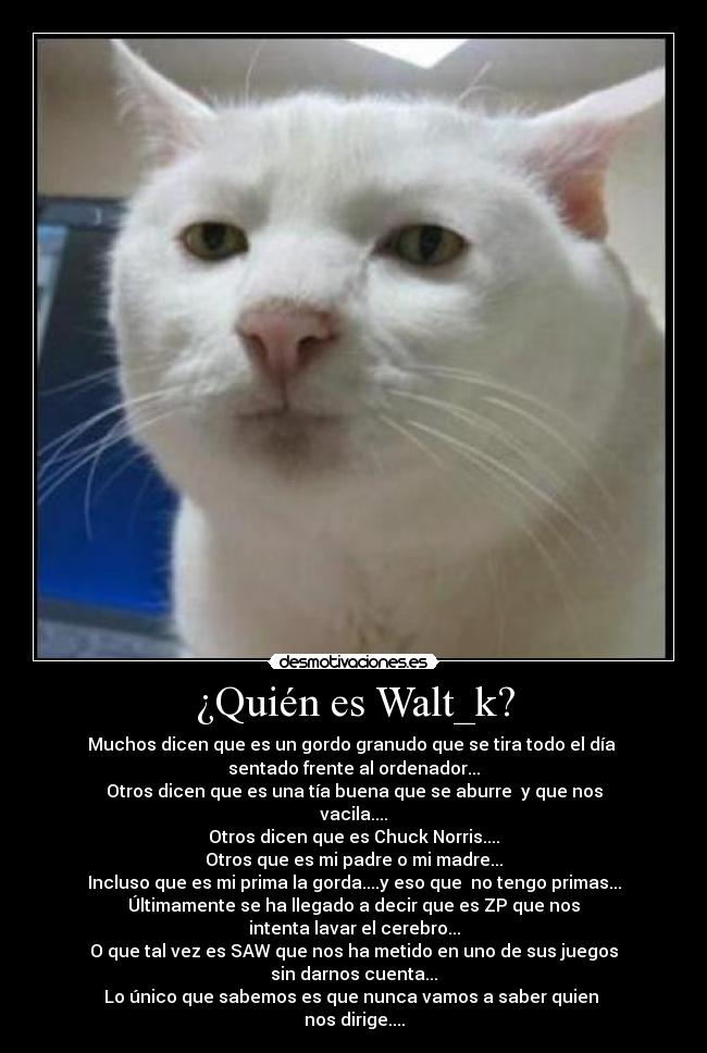 ¿Quién es Walt_k? -