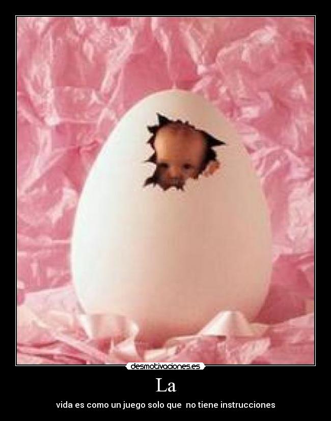 La - vida es como un juego solo que no tiene instrucciones