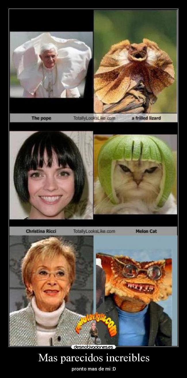 Mas parecidos increibles -