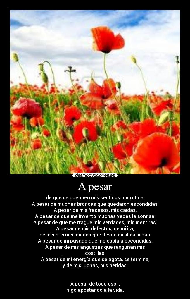 A pesar - de que se duermen mis sentidos por rutina.
A pesar de muchas broncas que quedaron escondidas.
A pesar de mis fracasos, mis caídas.
A pesar de que me invento muchas veces la sonrisa.
A pesar de que me trague mis verdades, mis mentiras.
A pesar de mis defectos, de mi ira,
de mis eternos miedos que desde mi alma silban.
A pesar de mi pasado que me espía a escondidas.
A pesar de mis angustias que rasguñan mis
costillas.
A pesar de mi energía que se agota, se termina,
y de mis luchas, mis heridas.
A pesar de todo eso...
sigo apostando a la vida.