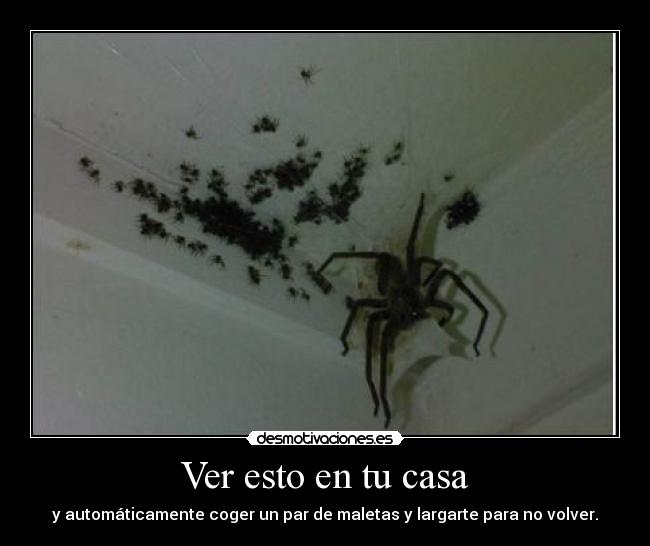 Ver esto en tu casa -