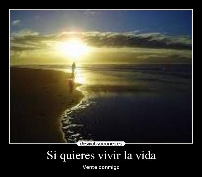 carteles vida alejandro berraquero desmotivaciones