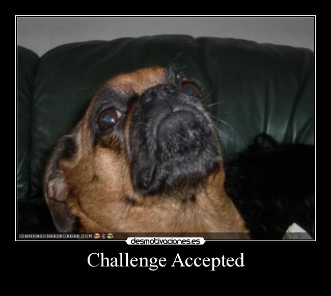 Challenge Accepted -