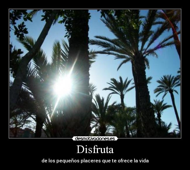 Disfruta - 