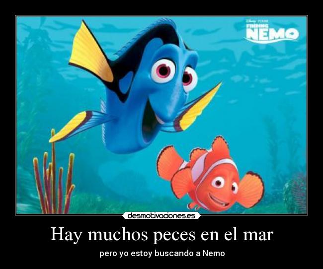 Hay muchos peces en el mar - 