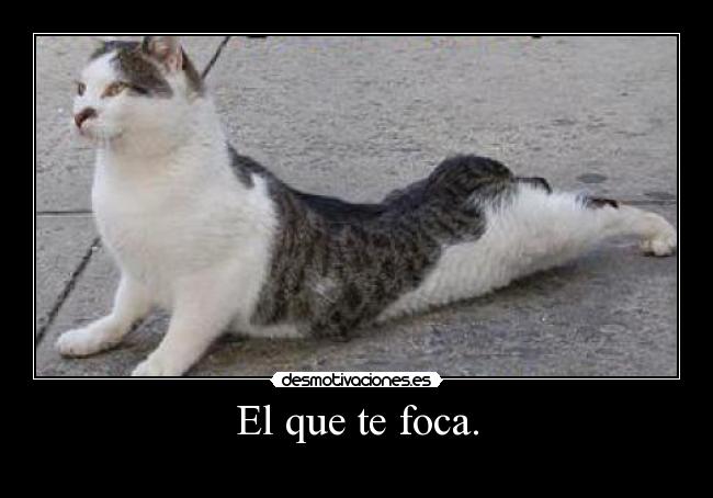 El que te foca. -