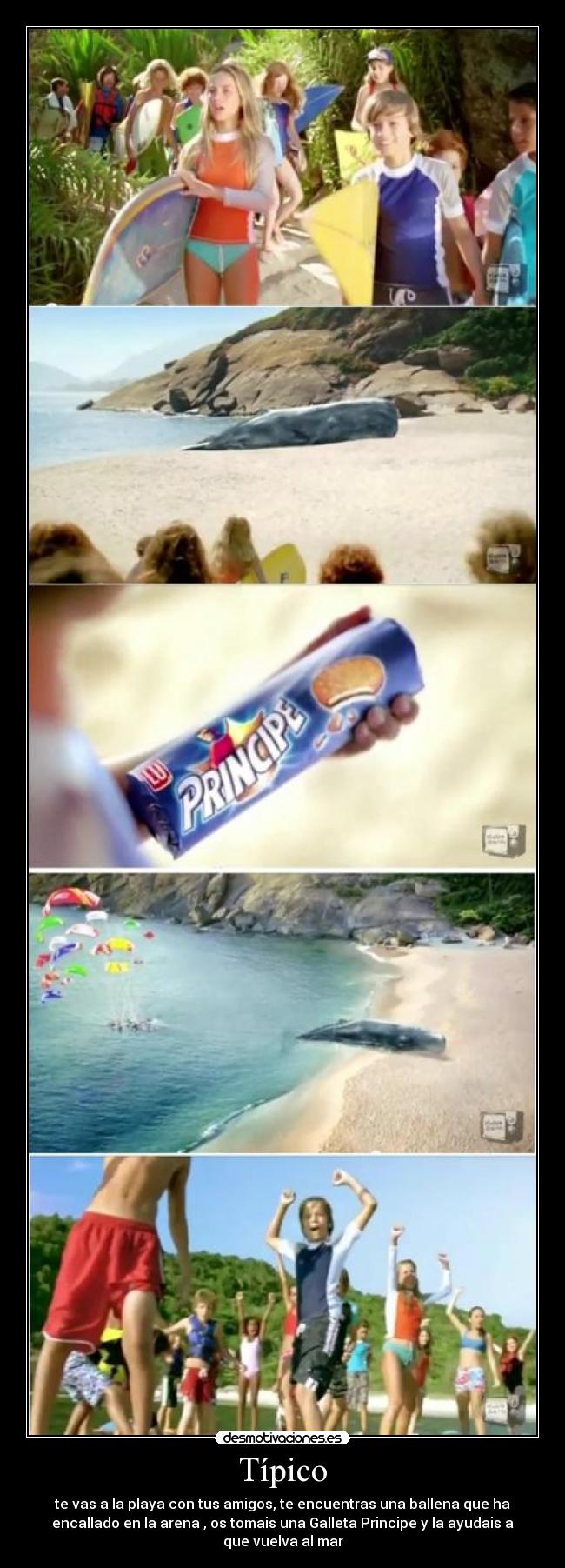 Típico - te vas a la playa con tus amigos, te encuentras una ballena que ha
encallado en la arena , os tomais una Galleta Principe y la ayudais a
que vuelva al mar