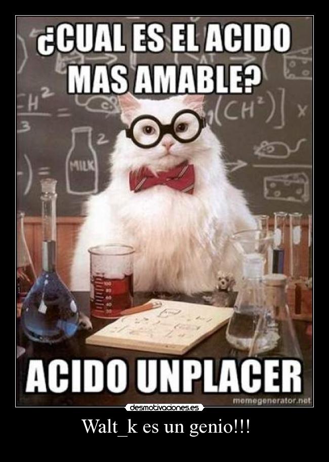 Walt_k es un genio!!! -