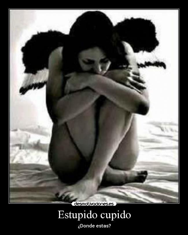 Estupido cupido - ¿Donde estas?