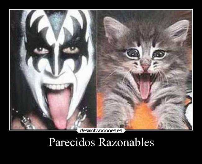 Parecidos Razonables -