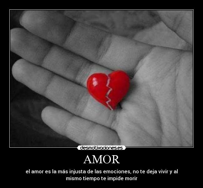 carteles amor amor desmotivaciones