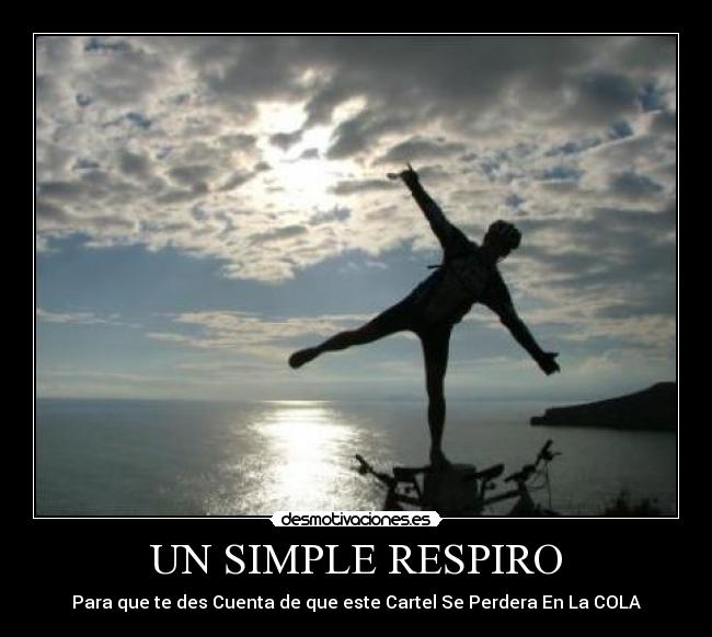 carteles cola desmotivaciones