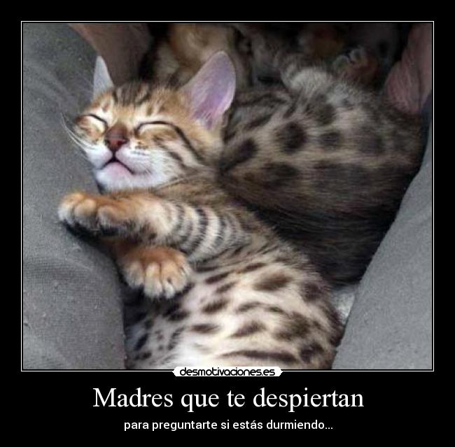 carteles realmente has despertado para preguntarme estoy despierto desmotivaciones