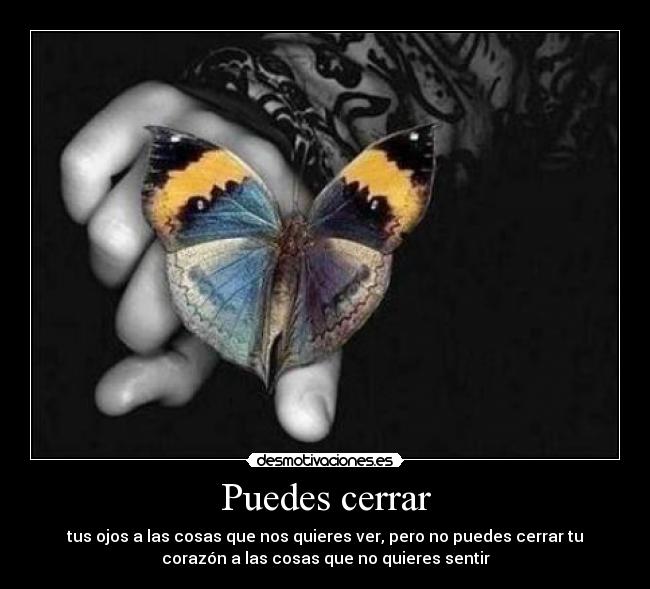 Puedes cerrar - tus ojos a las cosas que nos quieres ver, pero no puedes cerrar tu
corazón a las cosas que no quieres sentir