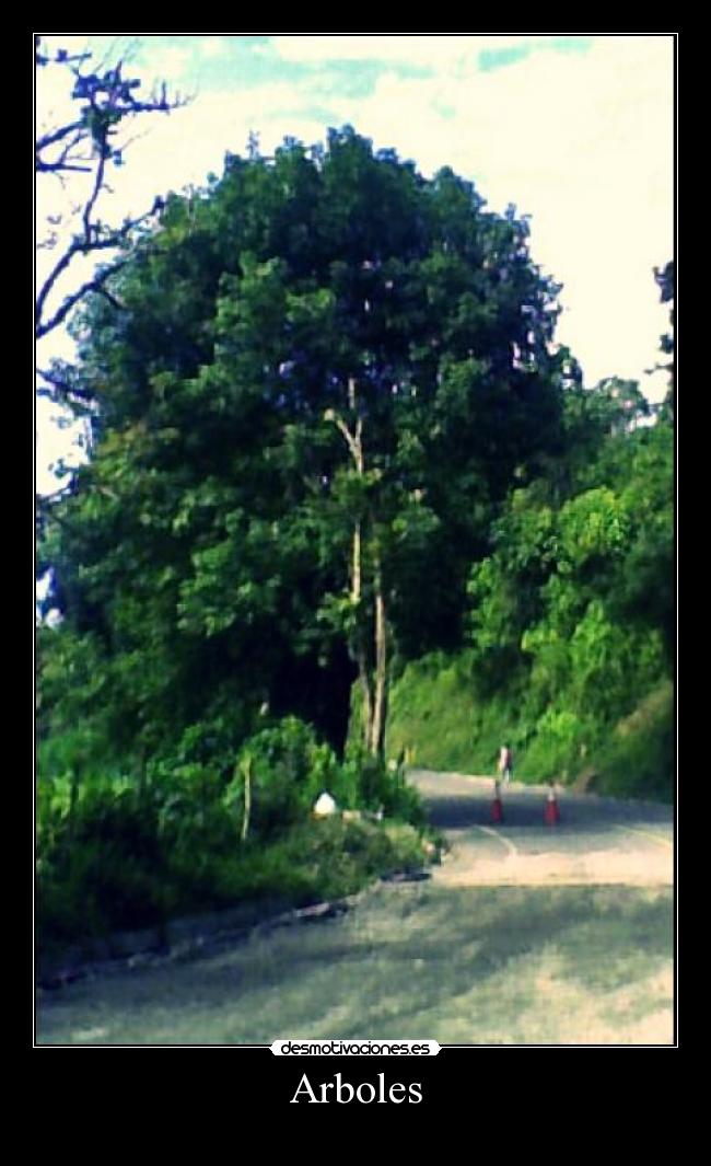 Arboles - 