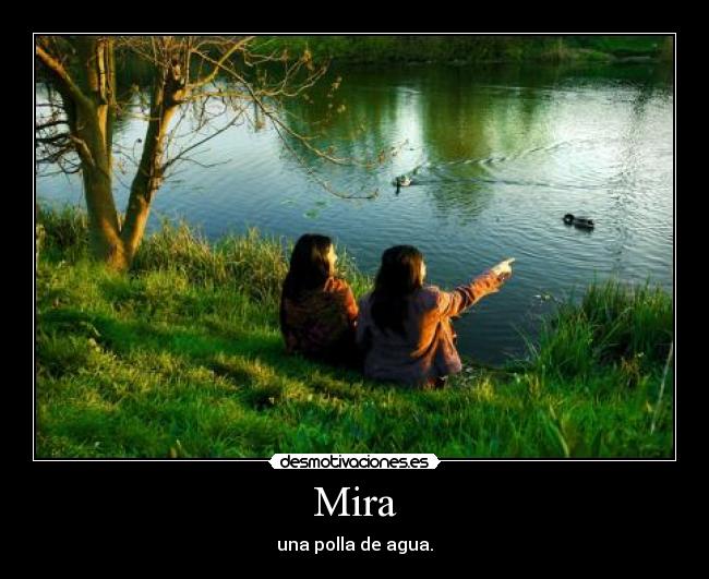 Mira - una polla de agua.