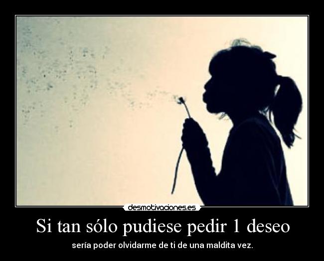 Si tan sólo pudiese pedir 1 deseo - 