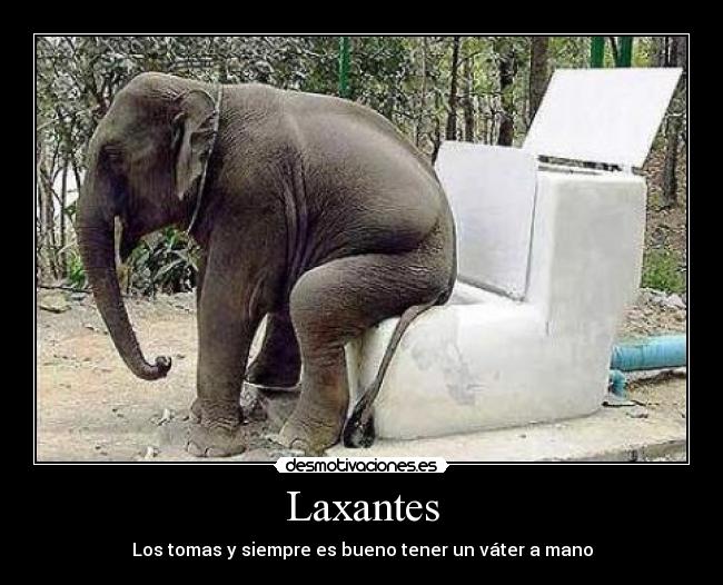 Laxantes - Los tomas y siempre es bueno tener un váter a mano