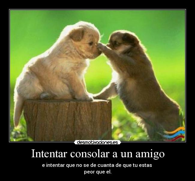 Intentar consolar a un amigo -