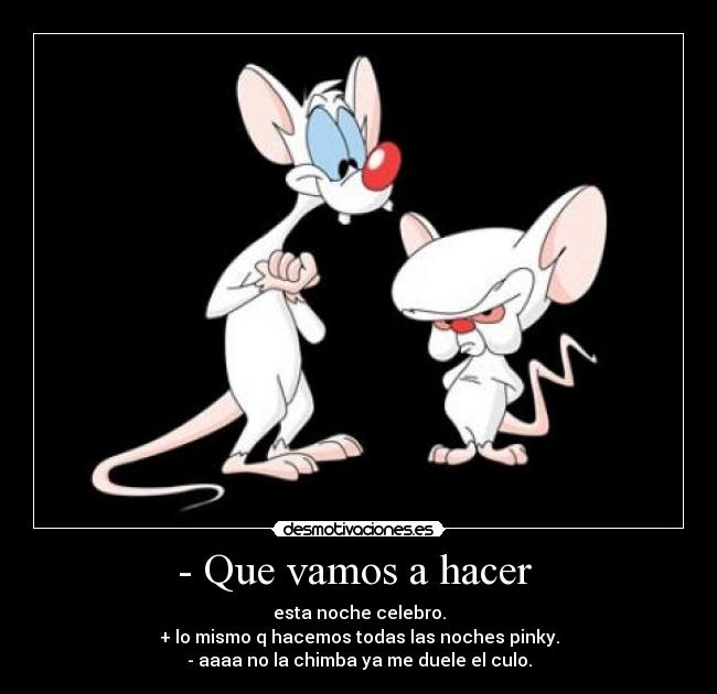 - Que vamos a hacer - esta noche celebro.
+ lo mismo q hacemos todas las noches pinky.
- aaaa no la chimba ya me duele el culo.
