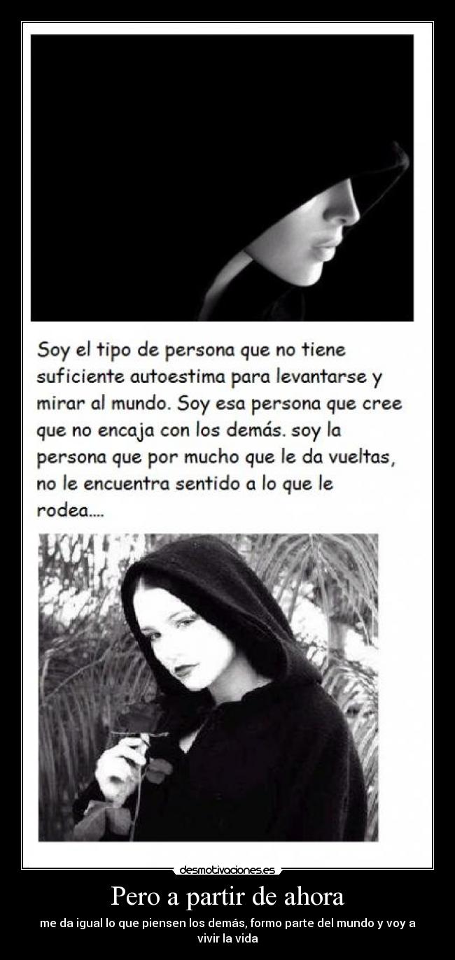 carteles rocio14 desmotivaciones