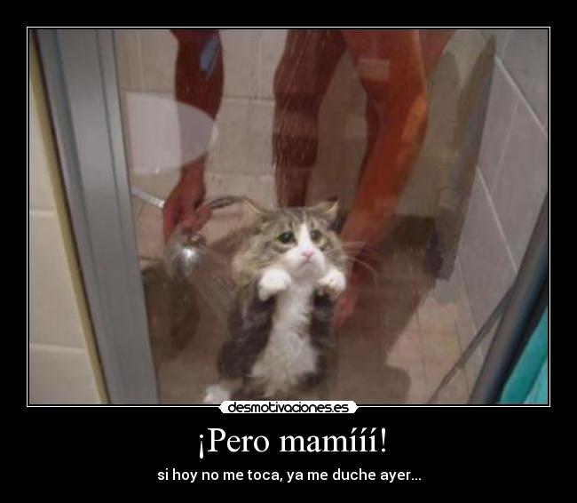 carteles hoy toca duche ayer desmotivaciones