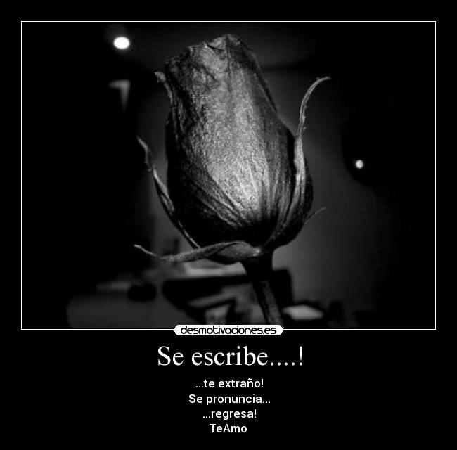 Se escribe....! - 