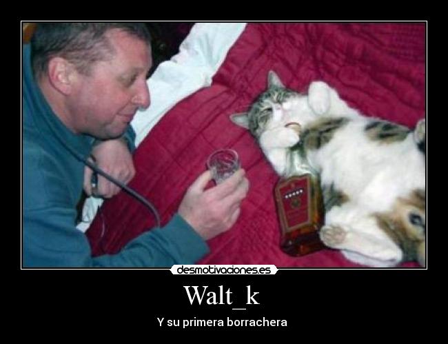Walt_k -