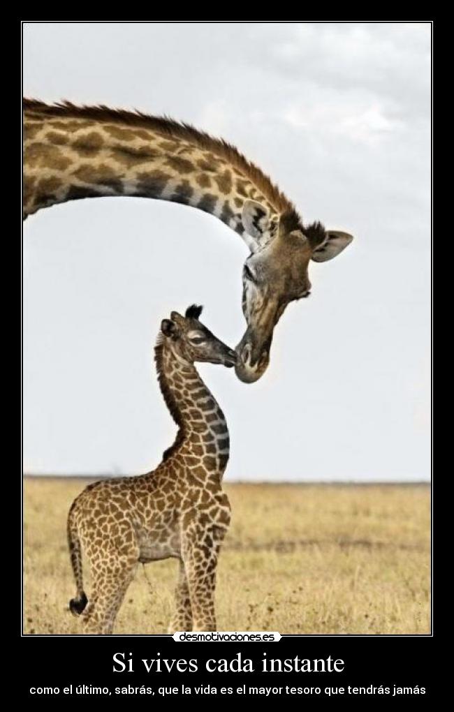 carteles vida desmotivaciones