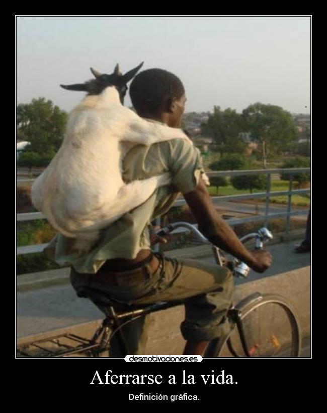 Aferrarse a la vida. - 