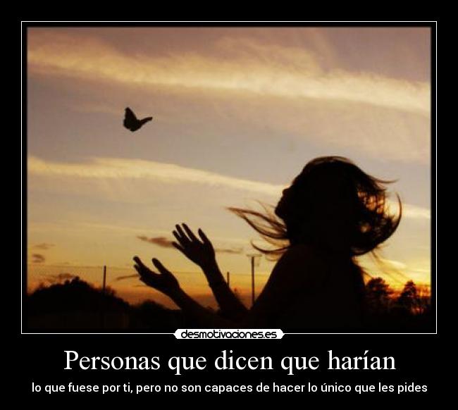 Personas que dicen que harían -