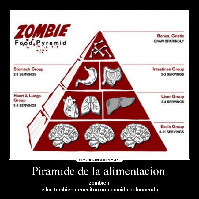 Piramide de la alimentacion - zombien
ellos tambien necesitan una comida balanceada