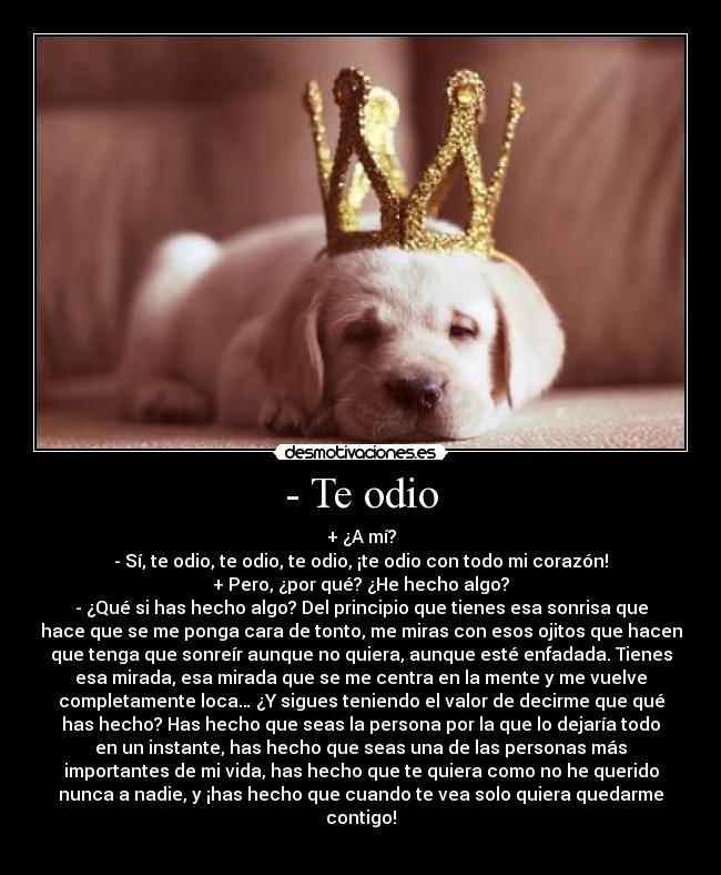 - Te odio - + ¿A mí?
- Sí, te odio, te odio, te odio, ¡te odio con todo mi corazón!
+ Pero, ¿por qué? ¿He hecho algo?
- ¿Qué si has hecho algo? Del principio que tienes esa sonrisa que
hace que se me ponga cara de tonto, me miras con esos ojitos que hacen
que tenga que sonreír aunque no quiera, aunque esté enfadada. Tienes
esa mirada, esa mirada que se me centra en la mente y me vuelve
completamente loca… ¿Y sigues teniendo el valor de decirme que qué
has hecho? Has hecho que seas la persona por la que lo dejaría todo
en un instante, has hecho que seas una de las personas más
importantes de mi vida, has hecho que te quiera como no he querido
nunca a nadie, y ¡has hecho que cuando te vea solo quiera quedarme
contigo!