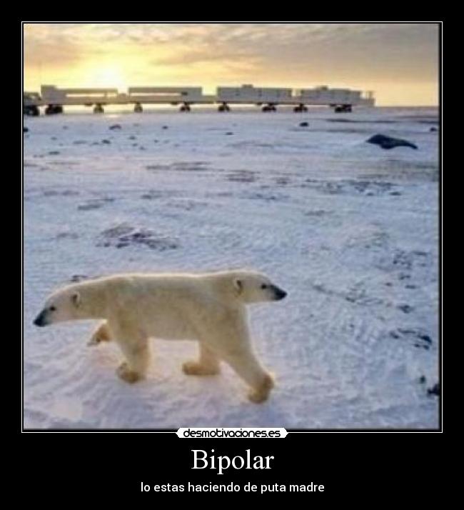 Bipolar - lo estas haciendo de puta madre