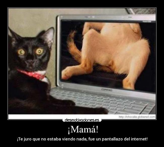 ¡Mamá! - ¡Te juro que no estaba viendo nada, fue un pantallazo del internet!