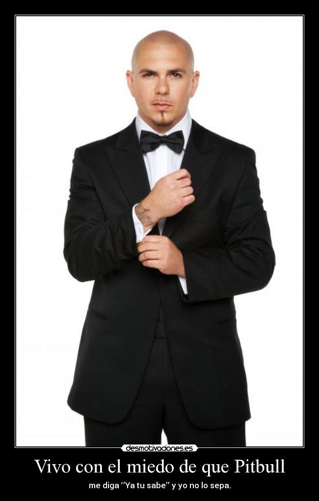 Vivo con el miedo de que Pitbull -
