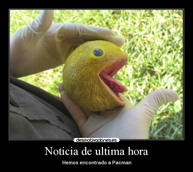 Noticia de ultima hora - Hemos encontrado a Pacman