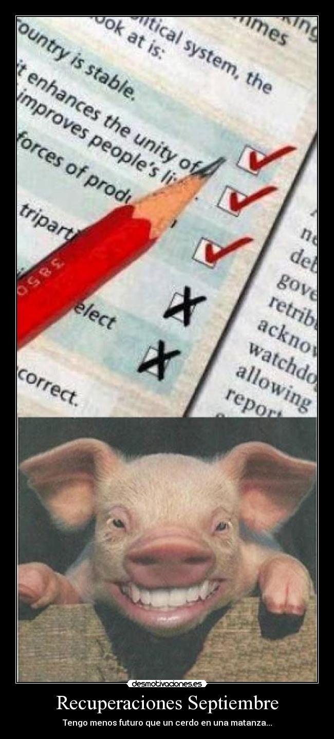 carteles sailly desmotivaciones