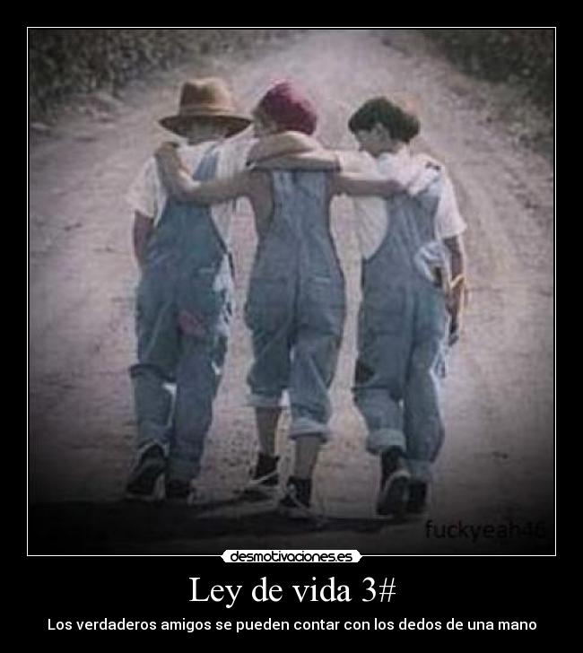 Ley de vida 3# - Los verdaderos amigos se pueden contar con los dedos de una mano