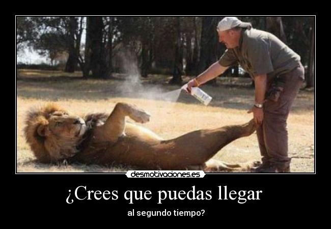 ¿Crees que puedas llegar  - 