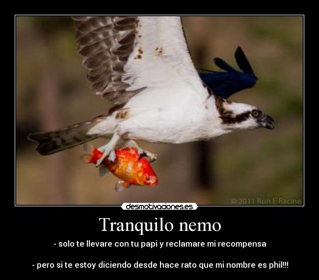 Tranquilo nemo - - solo te llevare con tu papi y reclamare mi recompensa
- pero si te estoy diciendo desde hace rato que mi nombre es phil!!!