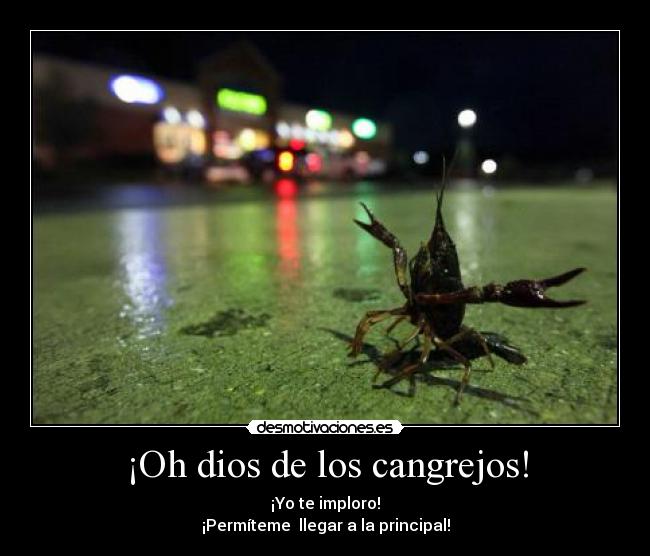 ¡Oh dios de los cangrejos! -