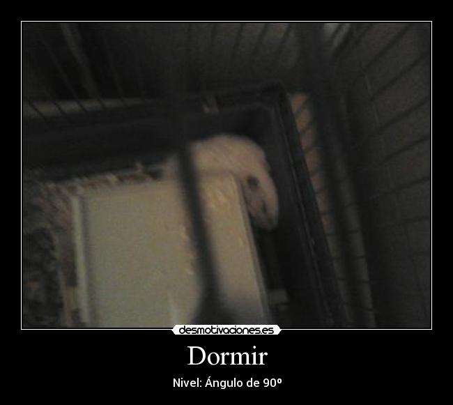 Dormir -
