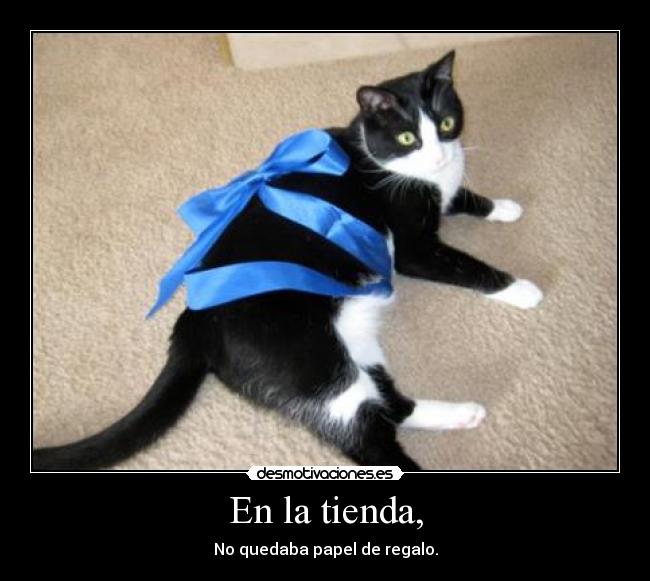 En la tienda, -