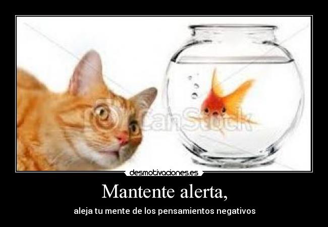 Mantente alerta, -