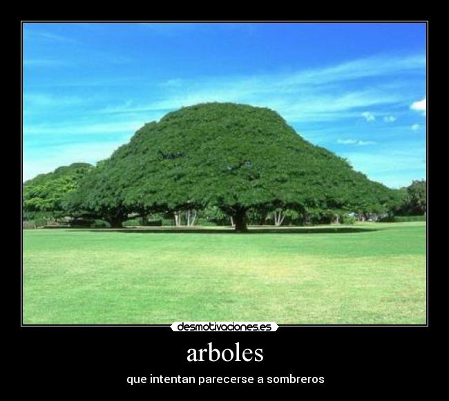 arboles - que intentan parecerse a sombreros