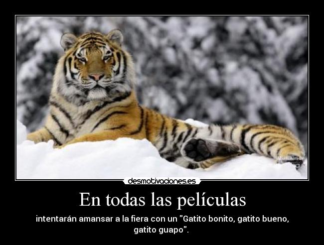 carteles tigre peliculas subrealista ridniculo amansar fiera desmotivaciones