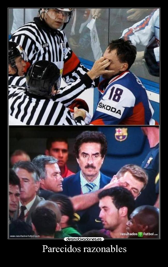 Parecidos razonables -