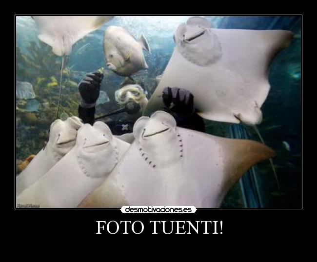 FOTO TUENTI! - 