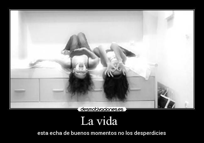 La vida   - 